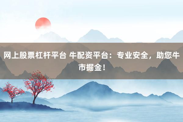 网上股票杠杆平台 牛配资平台：专业安全，助您牛市掘金！