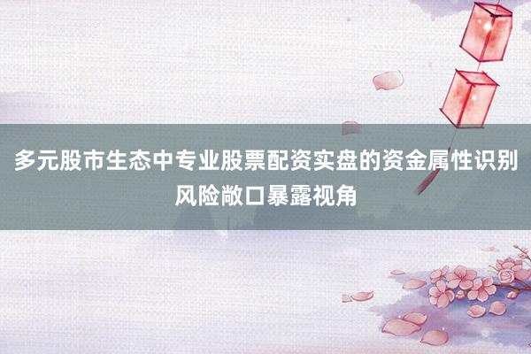 多元股市生态中专业股票配资实盘的资金属性识别风险敞口暴露视角