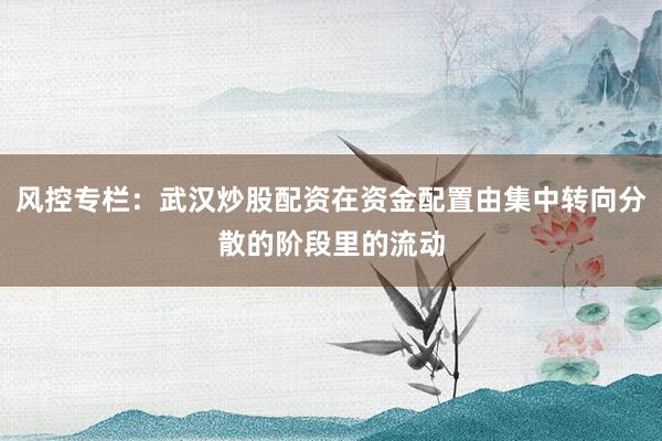 风控专栏：武汉炒股配资在资金配置由集中转向分散的阶段里的流动
