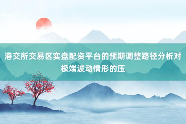 港交所交易区实盘配资平台的预期调整路径分析对极端波动情形的压