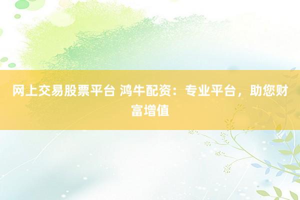 网上交易股票平台 鸿牛配资：专业平台，助您财富增值